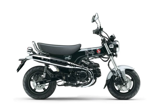 dax1